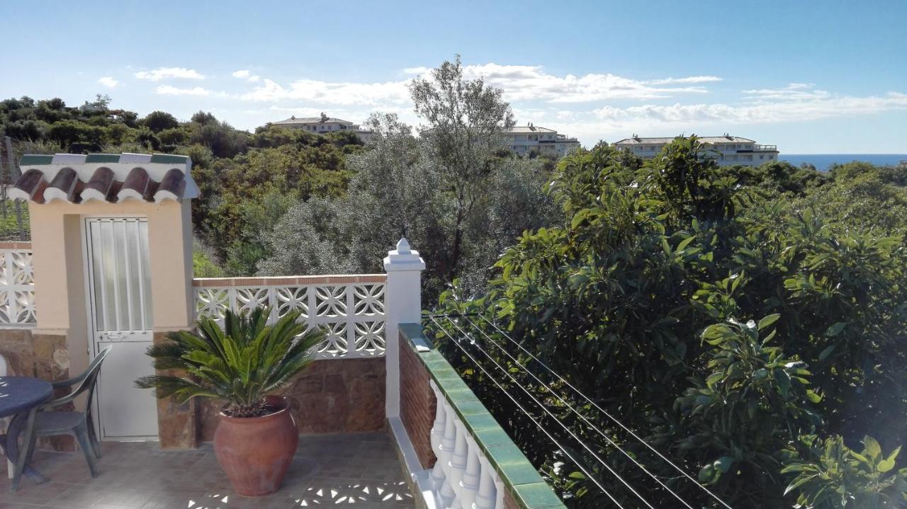 マラガ Casa Paloma Blancaヴィラ エクステリア 写真