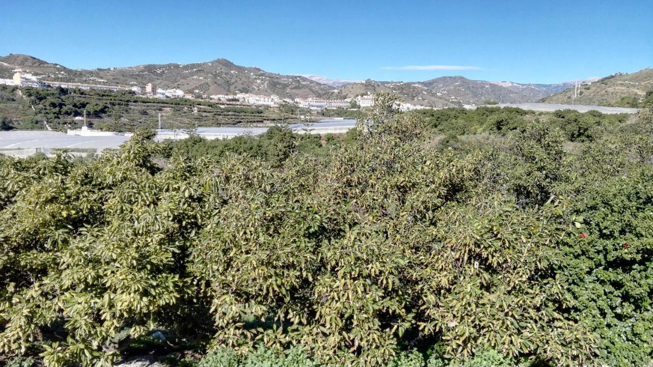 マラガ Casa Paloma Blancaヴィラ エクステリア 写真